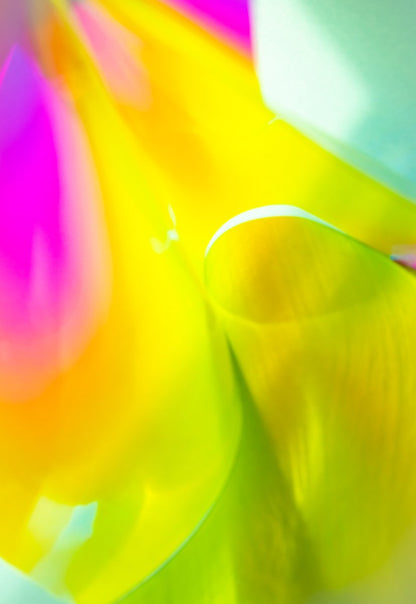 A MATERIAL WORLD 007