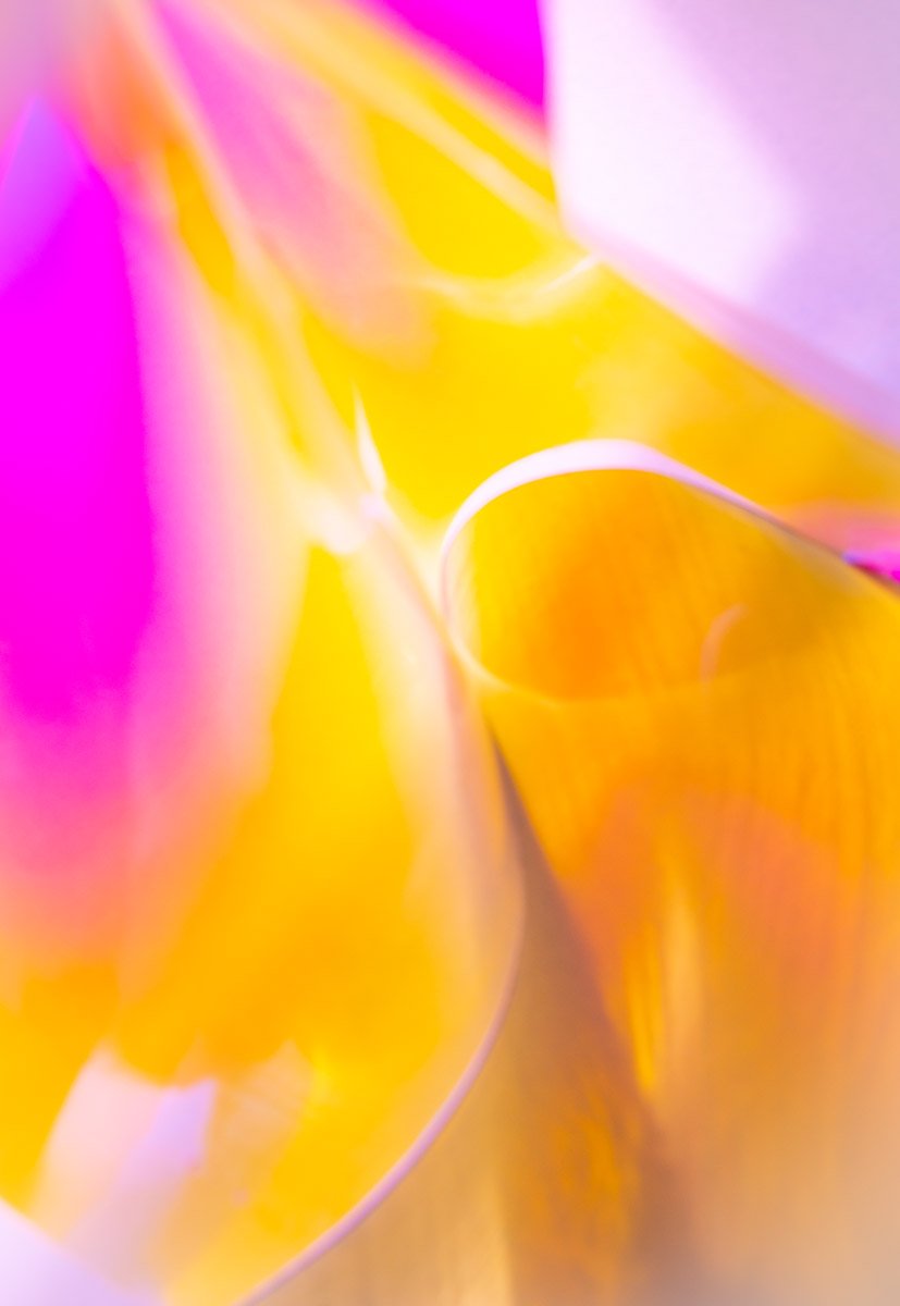 A MATERIAL WORLD 008